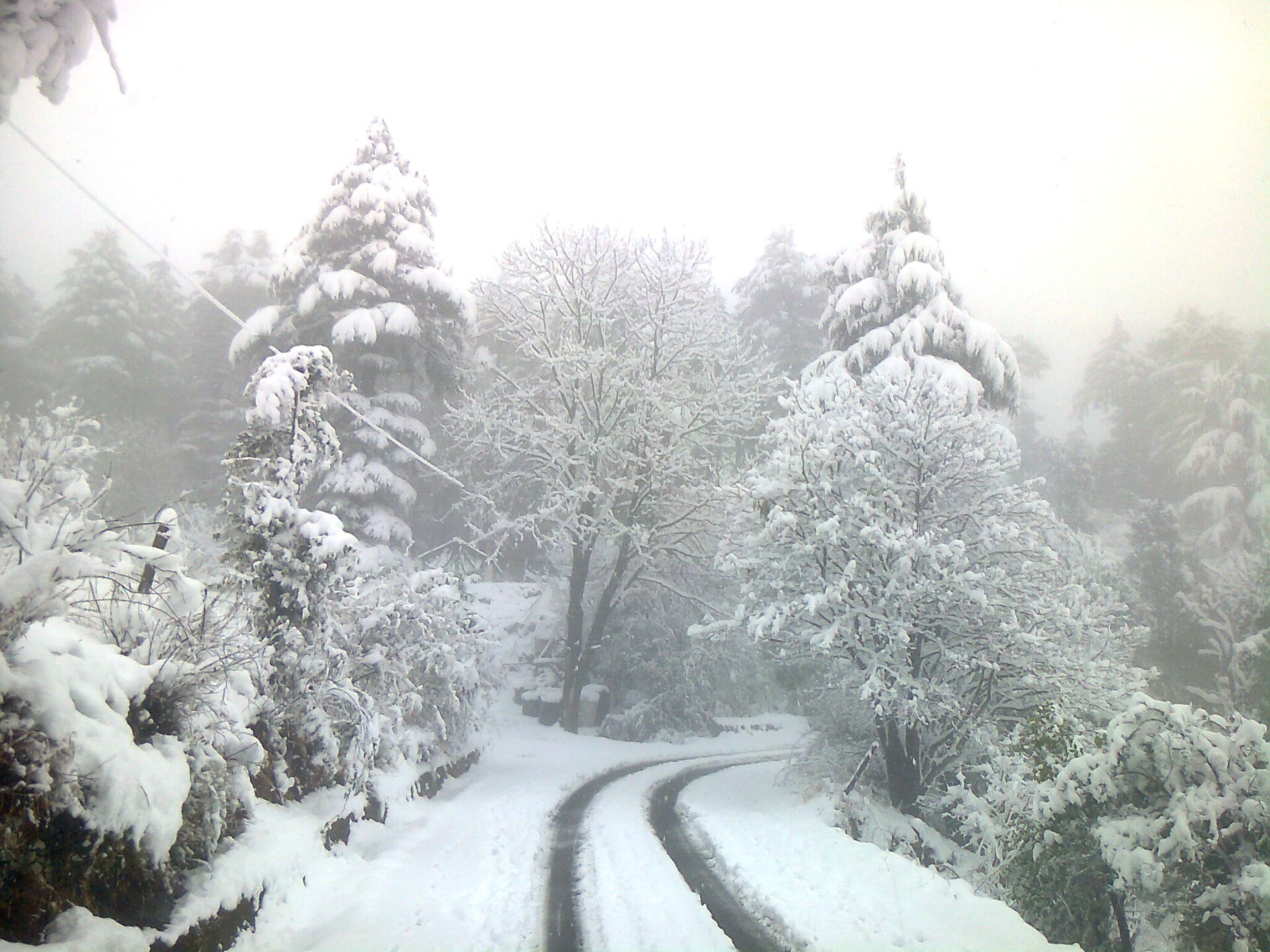 Eco park walks near Dhanaulti