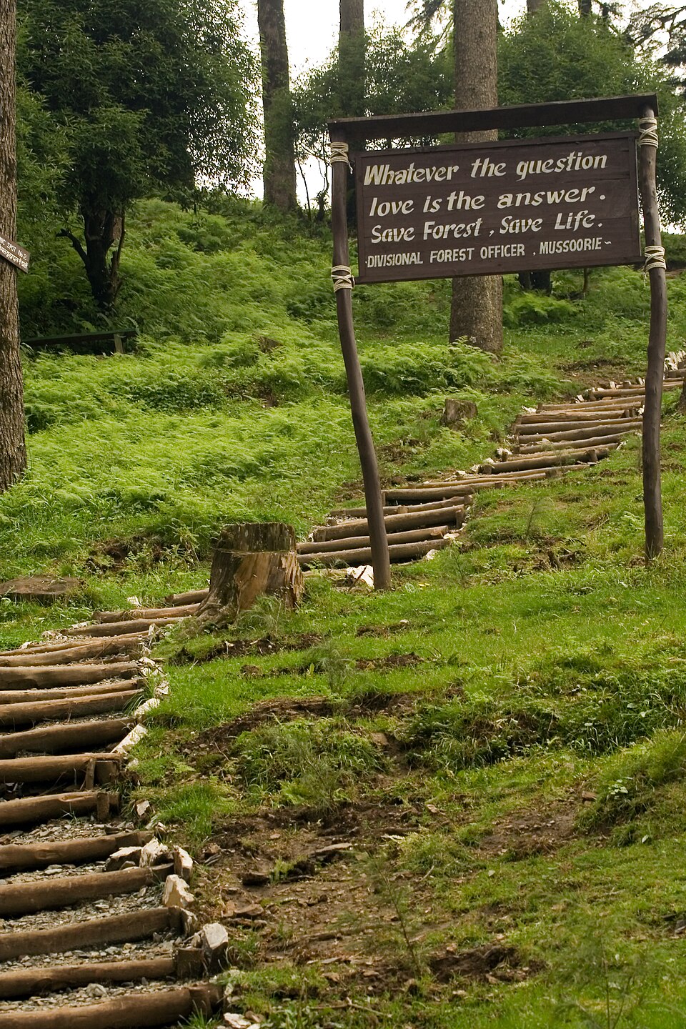 Mountain photography near Dhanaulti