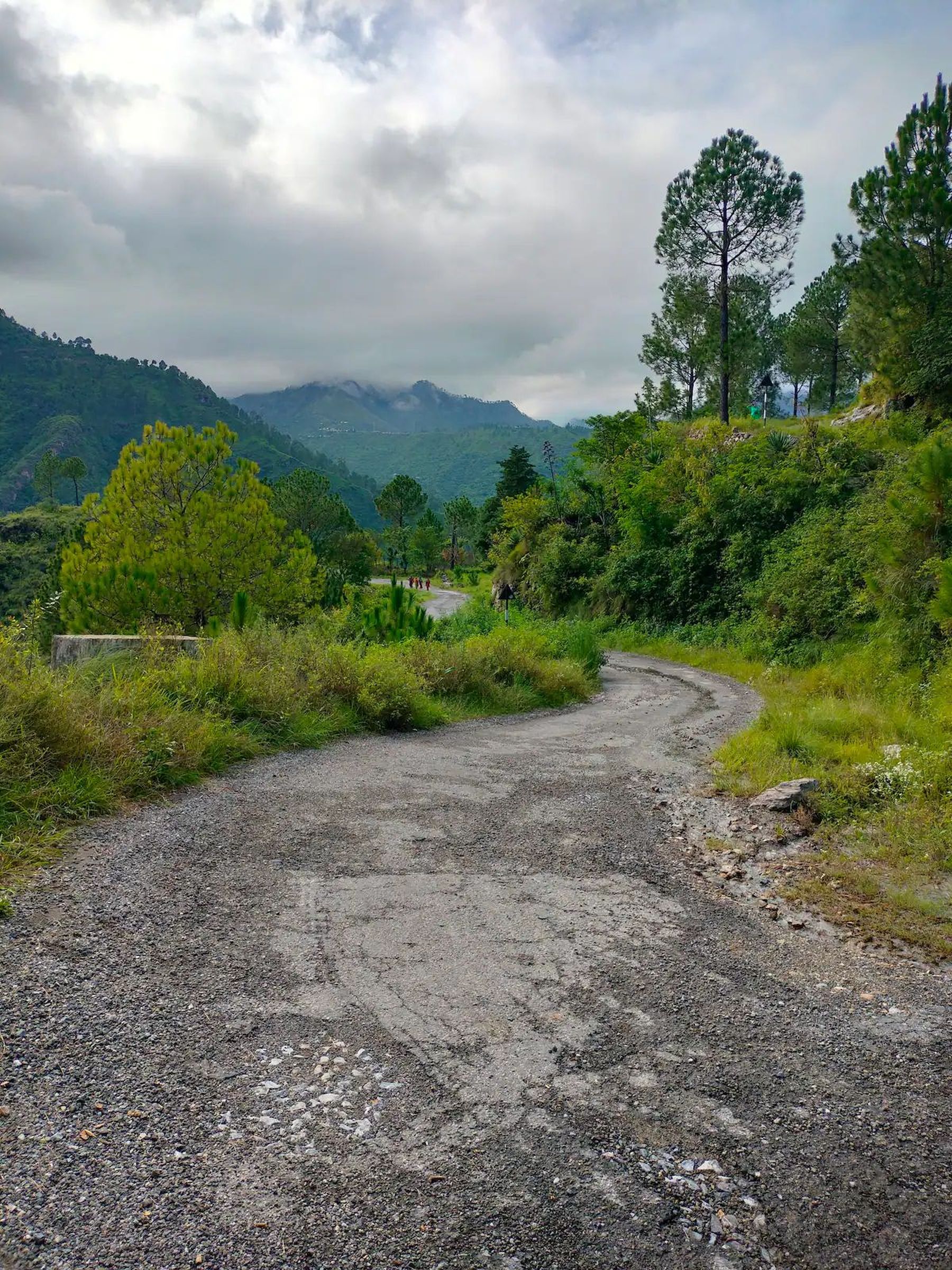 Driveway and mountain road approach