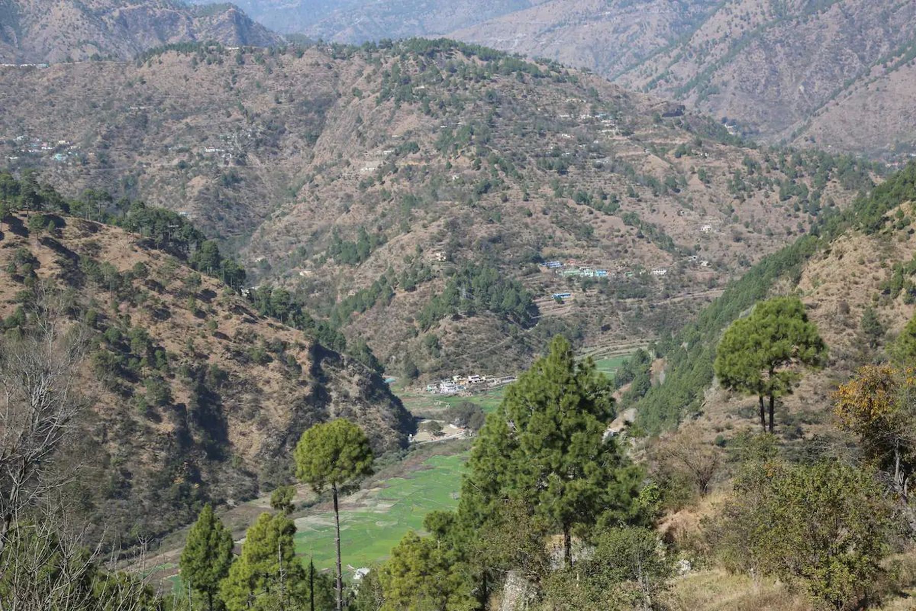 Valley view from the hillside